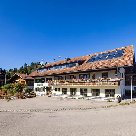Goldiger Hirsch - Nahe Alpsee Apartmán Immenstadt im Allgäu